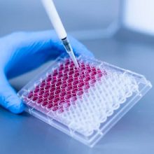 Screen-Shot-2023-10-29-at-23.19.33